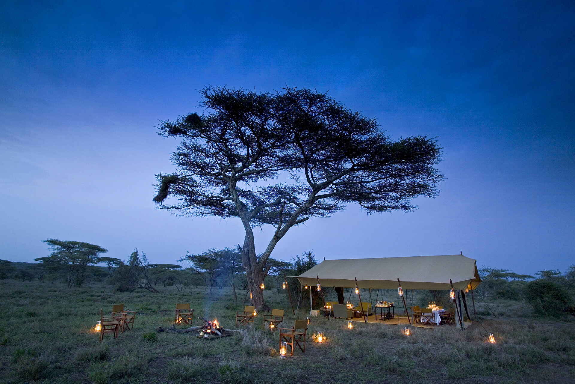 Exterior, Lodge, Night, Gästezelt, Öllampen, Schirmakazie, &Beyond, andbeyond, Serengeti under Canvas, Zeltcamp, Tanzania, Afrikarma, Afrikarma Safaris, afrikarma Safaris - Wildnis. Hautnah., Afrikarma.de