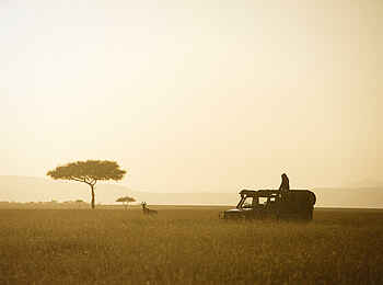 Serian's Kimya Kimya: Die Masai Mara Serian's Kimya Kimya: Die Masai Mara