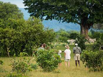 Tembo Plains Camp: Walkingsafari