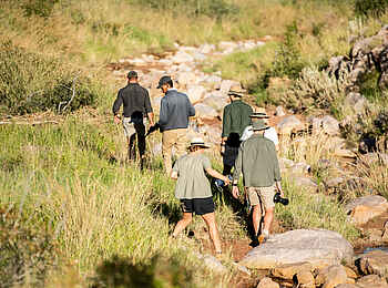 Tswalu Loapi Tented Camp: Auf Wandersafari Tswalu Loapi Tented Camp: Auf Wandersafari