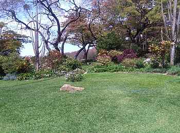 Clever's Lake View Resort: Rasen vor Bäumen Clever's Lake View Resort: Rasen vor Bäumen