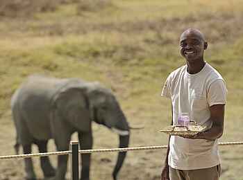 Lion Camp: Servicemitglied