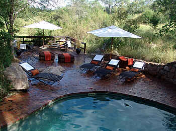 Sabi Sabi Little Bush Camp: Der Pool