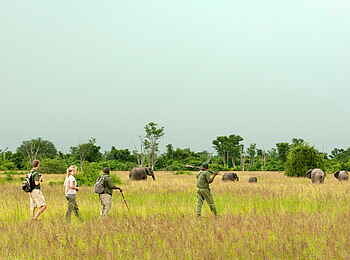 Time + Tide Nsolo: Buschwanderung in der Steppe