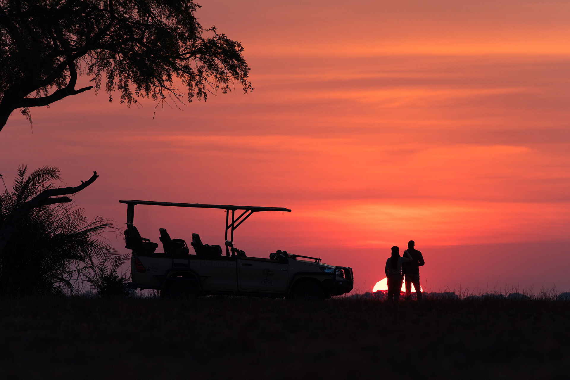 Chisa Busanga Camp: Game Drive Chisa Busanga Camp: Game Drive