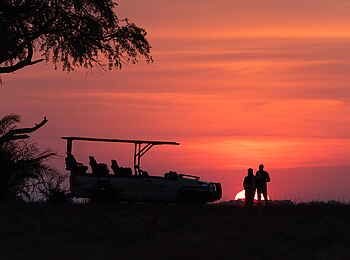 Chisa Busanga Camp: Game Drive