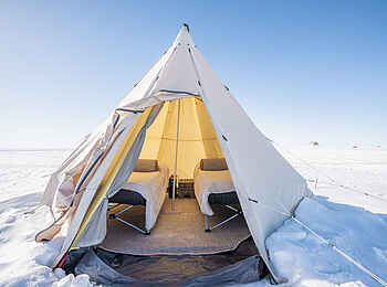 Dixie's Camp: Das Zelt von außen Dixie's Camp: Das Zelt von außen