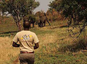 Grumeti Hills Camp: Game Walk