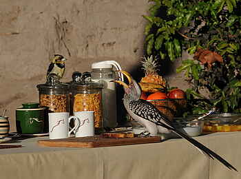 Macatoo Camp: Frühstücksbuffet