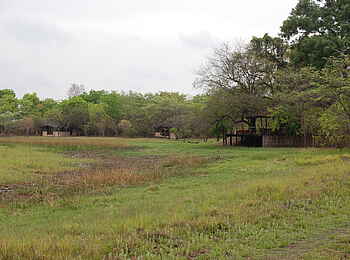 Nanzhila Plains Safari Camp: Chalets am Waldrand Nanzhila Plains Safari Camp: Chalets am Waldrand