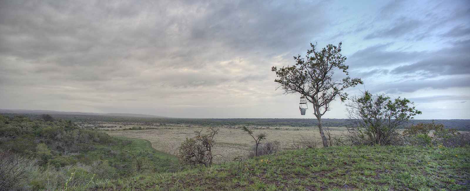 Phinda Mountain Lodge: Landschaft Phinda Mountain Lodge: Landschaft
