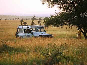Ronjo Camp: Game Drive