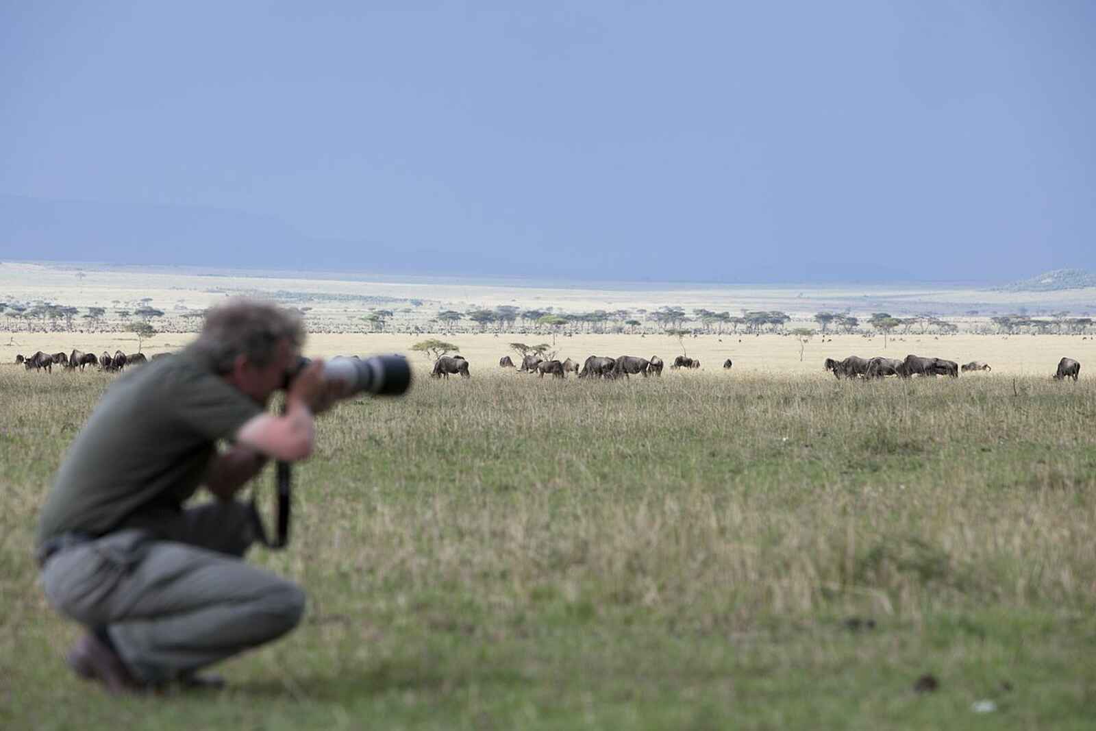 Serian Serengeti South: Tierherde und ihr Beobachter Serian Serengeti South: Tierherde und ihr Beobachter