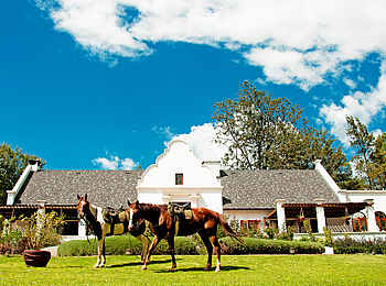 The Manor at Ngorongoro: Pferde vor dem Hauptgebäude