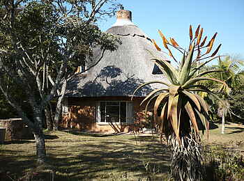 Frog and Fern Cottages: Miombo Cottage - Garten Frog and Fern Cottages: Miombo Cottage - Garten