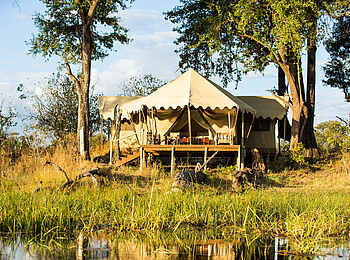 Duba Explorers Camp: Ein Gästezelt