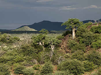 Erindi Game Reserve: Felsen und Landschaft