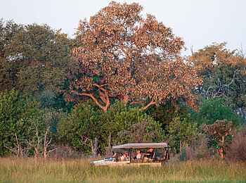 Elephant Pan Camp: Game Drive Elephant Pan Camp: Game Drive