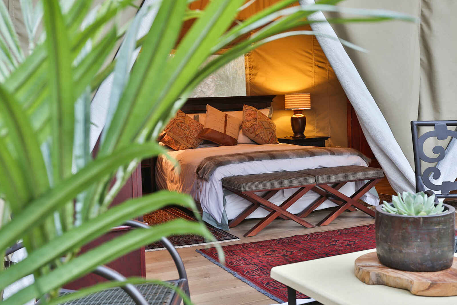 Kadizora Camp: Pflanzen vor dem Zelt Kadizora Camp: Pflanzen vor dem Zelt