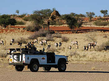 Kalahari Farmhouse: Game Drive Kalahari Farmhouse: Game Drive