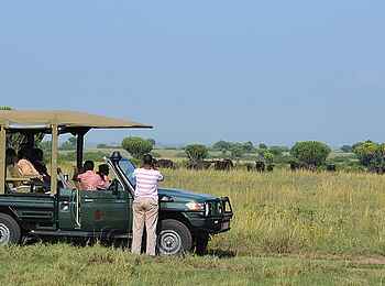 Katara Lodge: Pirschfahrt Katara Lodge: Pirschfahrt