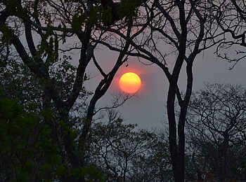 Leopard Lodge: Abendsonne