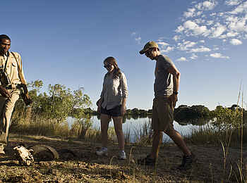 Mukambi Fig Tree Bush Camp: Eine Walking Safari stoppt und betrachtet ein Geweih