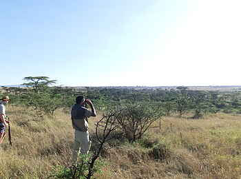 Naboisho Camp: Walking Safari