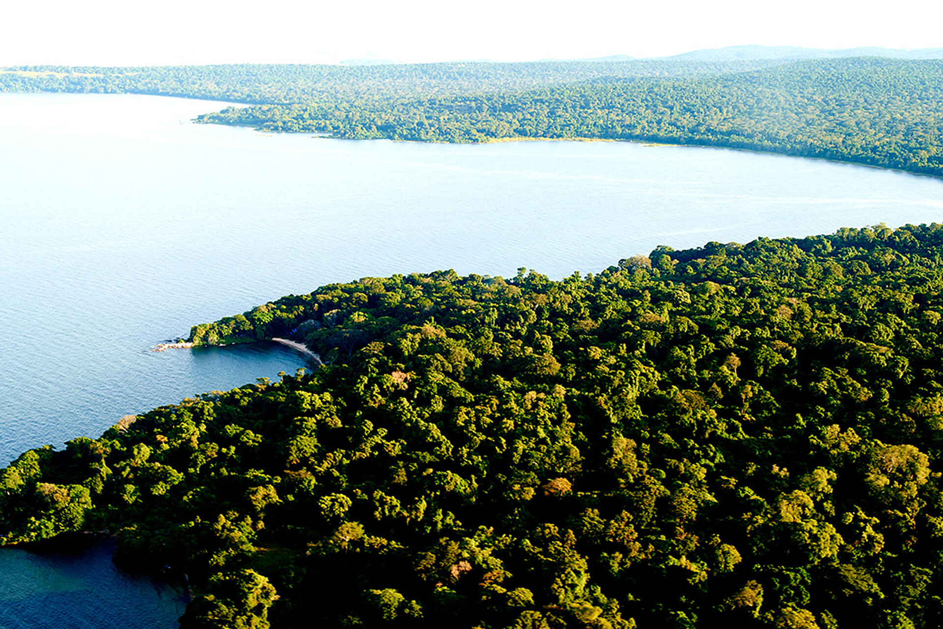 Rubondo Island Camp: Die Insel aus der Vogelperspektive