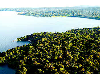 Rubondo Island Camp: Die Insel aus der Vogelperspektive Rubondo Island Camp: Die Insel aus der Vogelperspektive