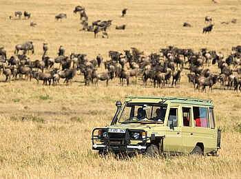 Sayari Camp: Fahrt durch die Serengeti Sayari Camp: Fahrt durch die Serengeti