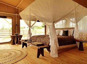 Serengeti Bushtops: Himmelbett